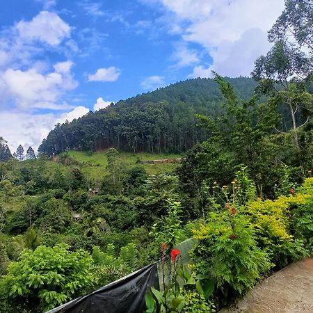 Ella Summer Lesser Ngoại thất bức ảnh