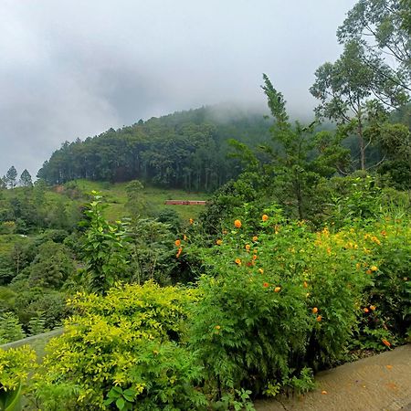 Ella Summer Lesser Ngoại thất bức ảnh