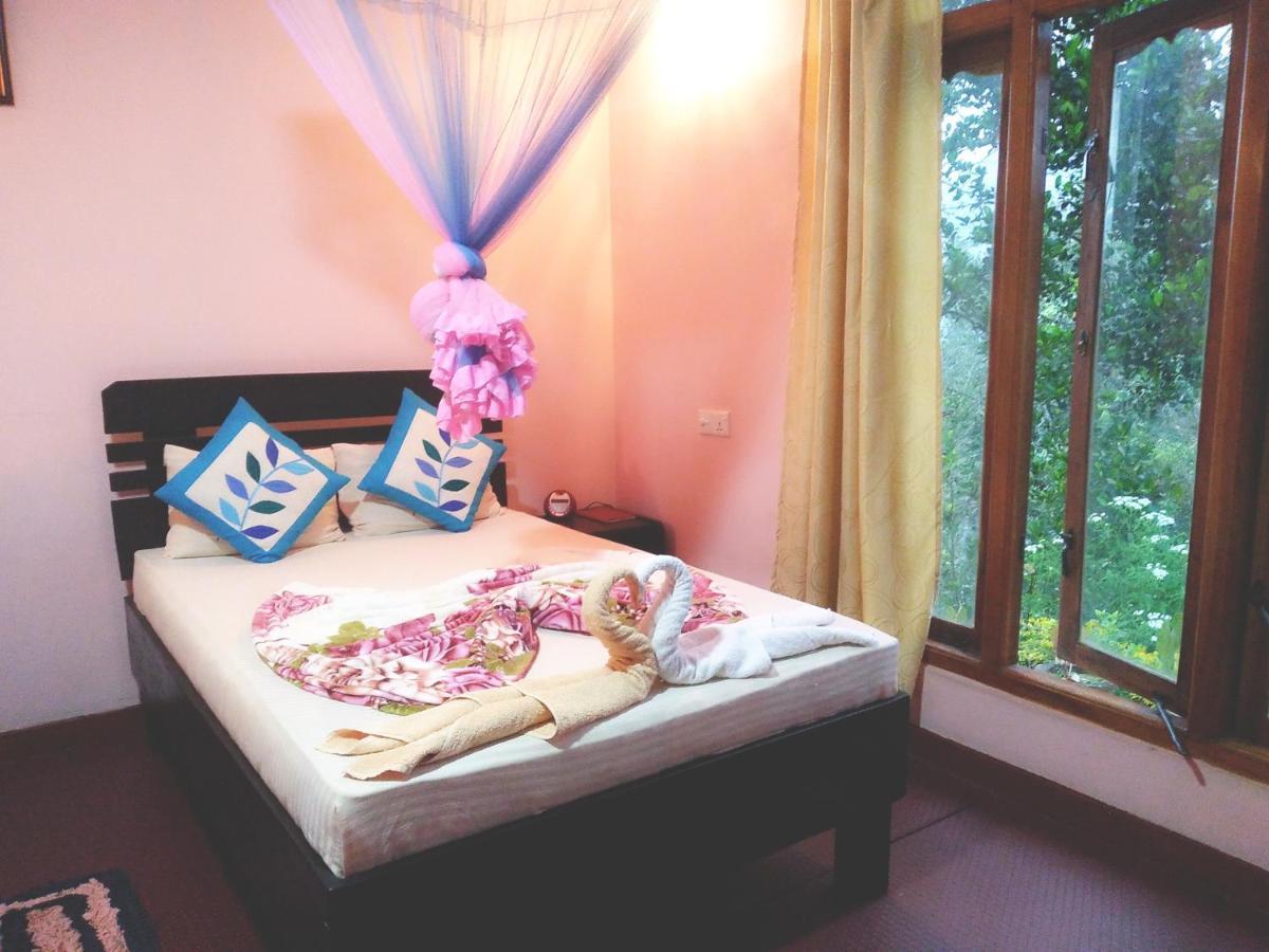 Ella Summer Lesser Ngoại thất bức ảnh