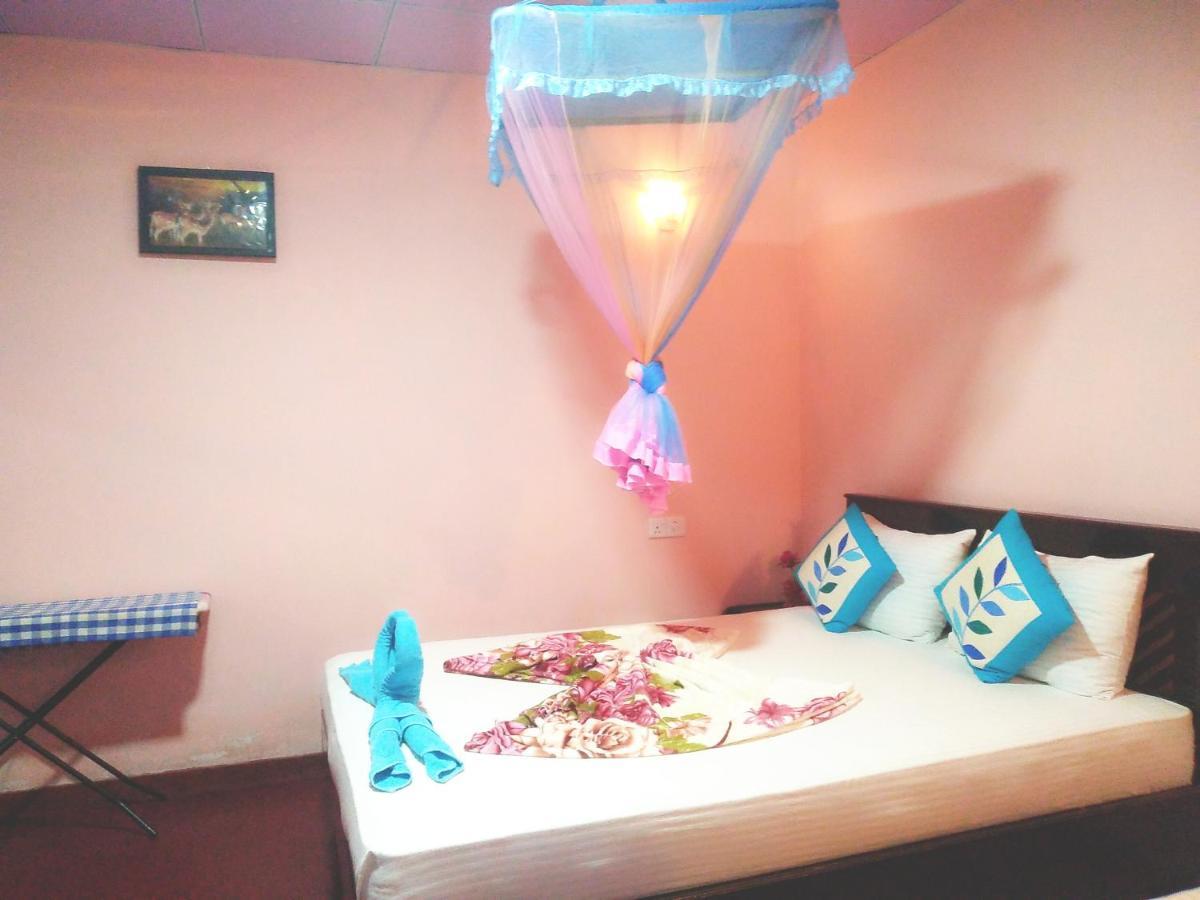 Ella Summer Lesser Ngoại thất bức ảnh