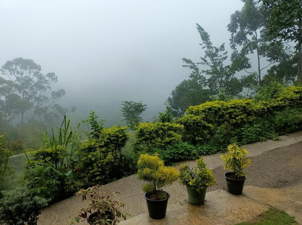 Ella Summer Lesser Ngoại thất bức ảnh